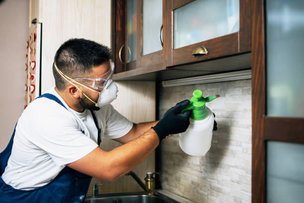 Best Mosquito Control Services  in Hurley, NM
