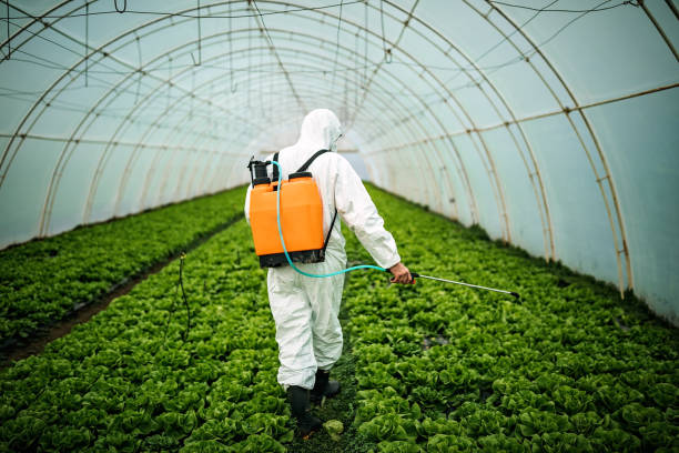 Best Pest Prevention Services  in Hurley, NM