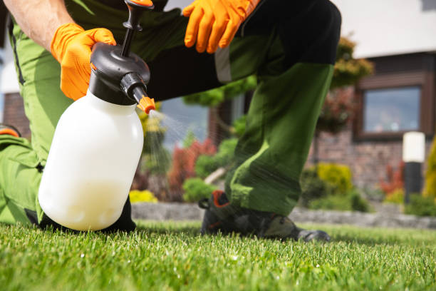 Best Exterminator Services  in Hurley, NM