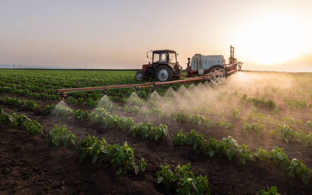 Best Pest Removal Services  in Hurley, NM