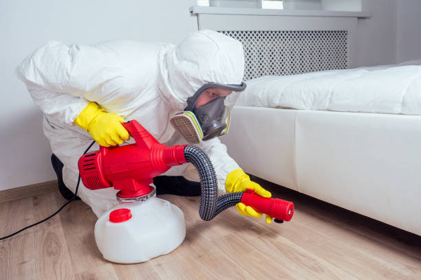 Reliable Hurley, NM Pest Control Solutions