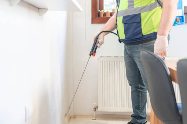 Trusted Hurley, NM Pest Control Experts
