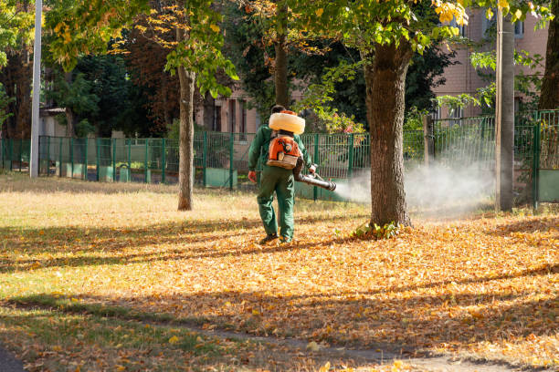 Best Affordable Pest Control Services  in Hurley, NM